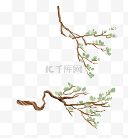 中国风水墨树枝