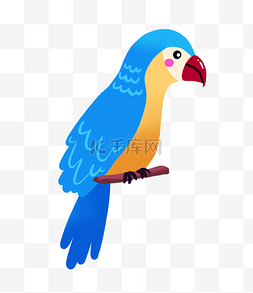 红嘴鹦鹉图片_漂亮的蓝色鹦鹉PNG免抠素材
