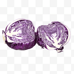 蔬菜紫甘蓝