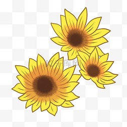 黄色向阳花花朵插画