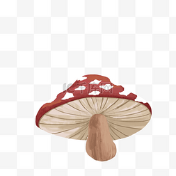 卡通彩色的蘑菇免抠图