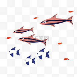 还的鱼群图片_彩色海洋鱼群