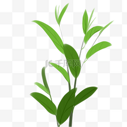 清新绿色茶树