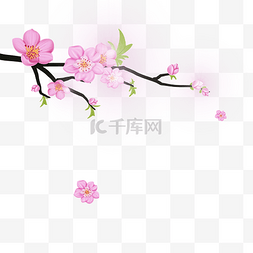 盛开的桃花树枝花装饰