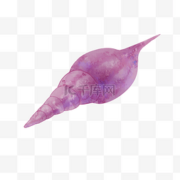 水彩紫色海螺