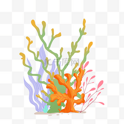 珊瑚珊瑚图片_海底生物海藻
