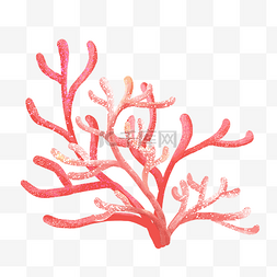 珊瑚红优惠券图片_夏天五彩海洋海底海珊瑚