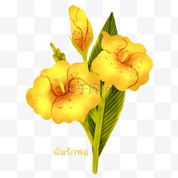 手绘彩色花束花朵图片_手绘风格黄色美人蕉元素