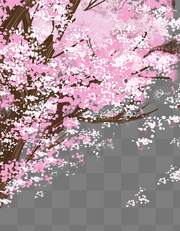 粉色浪漫樱花树花瓣