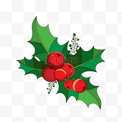 圣诞节植物装饰图片_圣诞节冬青手绘饰品装饰图案