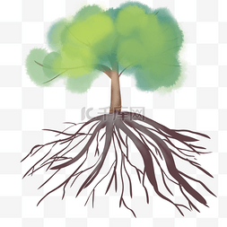 小树树木树根