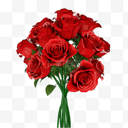 红玫瑰花结图片_红色玫瑰花