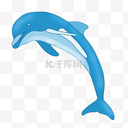 蓝色可爱海豚