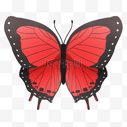 红色蝴蝶装饰插画