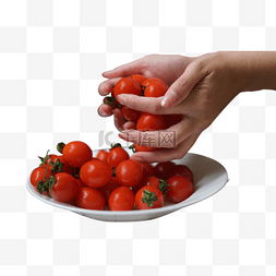 一盘番茄图片_装满一盘小番茄