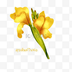 手绘彩色花束花朵图片_泰国父亲节手绘黄色美人蕉元素