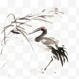 手绘的丹顶鹤图片_芦苇中的丹顶鹤
