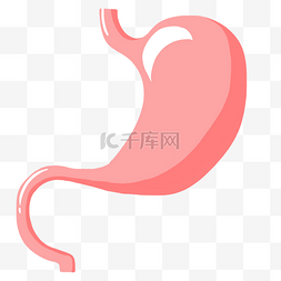 胃人体图片_人体器官胃插画
