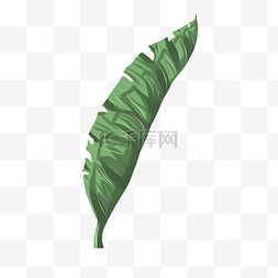 插画棕榈树图片_绿油油的棕榈树插画
