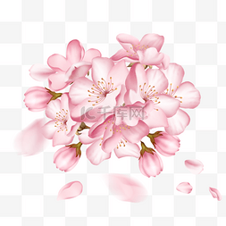 一簇盛开的粉色手绘樱花