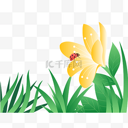瓢虫和蜗牛图片_春季春天植物花草瓢虫
