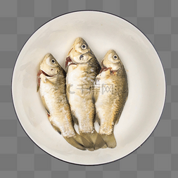 带鱼素材图片_小鱼鱼肉带鱼