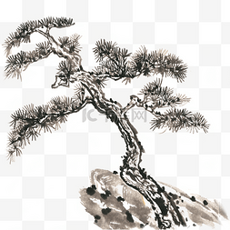 手绘松树免抠图片_冬季岩石上的松树