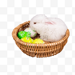 复活节节日彩蛋小白兔