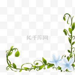 百合花元素图片_百合花蔓藤的植物