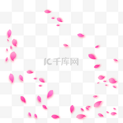 散落的粉色花瓣