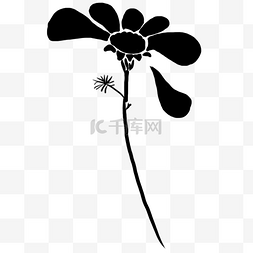 飘落的花瓣黑色花朵插画