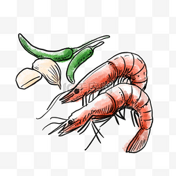 基围虾和辣椒