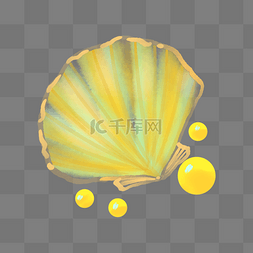 水彩黄色贝壳