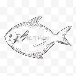 鱼线描图片_线描食物海鲜鱼海鱼