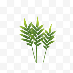 竹叶片图片_绿色植物叶子透明底免抠