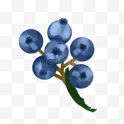 蓝莓水墨图片_蓝色圆弧水墨蓝莓食物元素