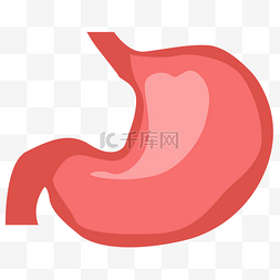 器官gif图片_人体器官胃脏