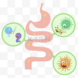 肠道菌群检测图片_肠道有害群体
