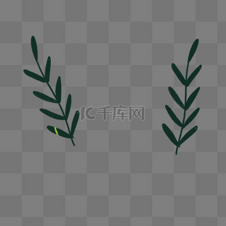 形状美丽的叶子