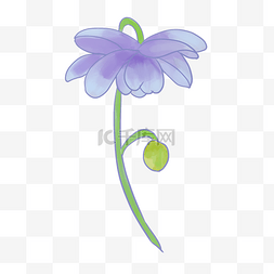 主题婚庆紫色图片_紫色掉落的花朵插图