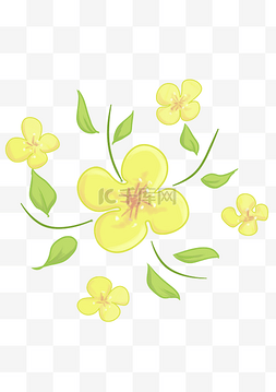 五朵花图片_绿色植物油菜花插画