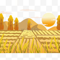 农田水稻熟了