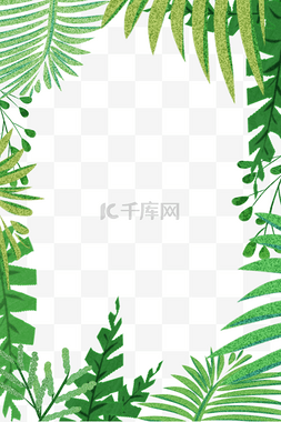 热带棕榈叶图片_棕榈叶绿色边框