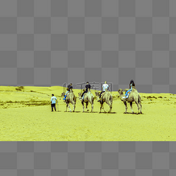 沙漠旅游驼队