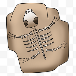 骨骼化石图片_骨骼骨架灭绝生物