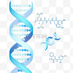 基因链分子