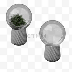 植物玻璃球图片_植物装饰玻璃球