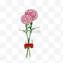 母亲节粉色康乃馨水彩手绘花朵PNG