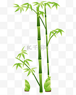 矢量中国风植物竹子