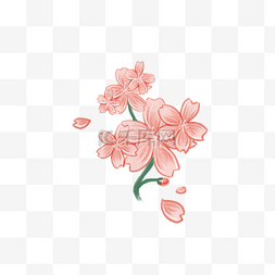 手绘春天粉色樱花花朵元素装饰PNG